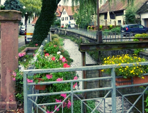 Blumenschmuck am Dorfbach