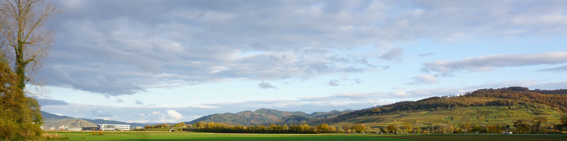 Herbstliches Panorama Vom Mooswald Nach St.Georgen